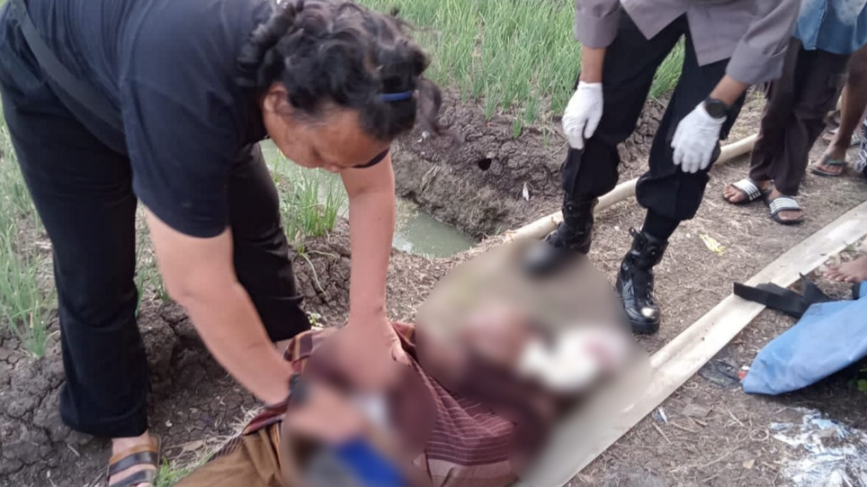 Cari Rumput di Area Persawahan, Seorang Petani Kaget Temukan Sesosok Mayat
            - galeri foto