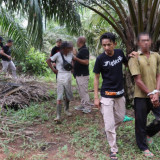 Tiga Orang Perambah Hutan TWA Seblat Bengkulu Ditangkap Tim Gabungan 