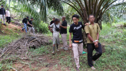Tiga Orang Perambah Hutan TWA Seblat Bengkulu Ditangkap Tim Gabungan 