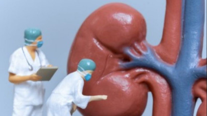 IDAI Masih Dalami Penyebab Percepatan Perburukan Gangguan Ginjal Akut Misterius pada Balita