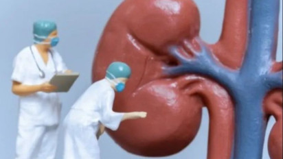 192 Kasus Gagal Ginjal Akut Pada Anak Terpantau di Seluruh Indonesia, Tertinggi di Jakarta