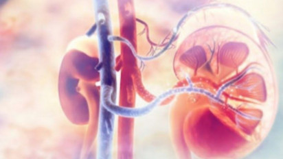 Pemda DIY Minta Akademisi Perguruan Tinggi Cari Penyebab dan Solusi Penanganan Kasus Ginjal Akut Pada Anak