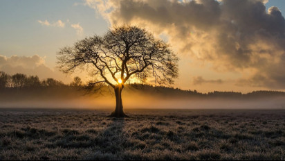 Tegar Bagai Pohon Oak, 4 Zodiak Ini Punya Karakter Kuat di Tengah Badai Masalah