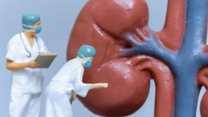 Kasus Gagal Ginjal Akut Pada Anak, Dinkes Gunungkidul Hentikan Pemberian Obat Sirup