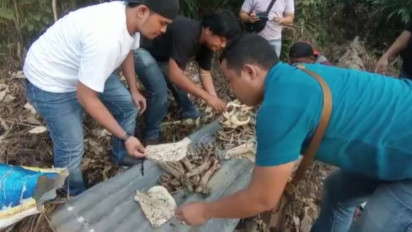 Jual Tulang Belulang Harimau Sumatera, Warga Indragiri Hulu Ditangkap Polisi