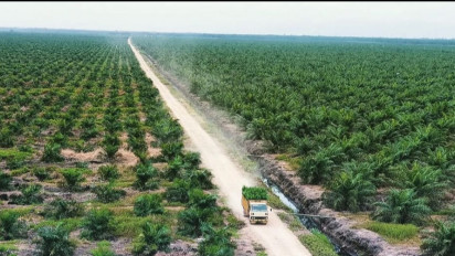 Sumbang Devisa Terbesar Nasional, Investor Butuh Jaminan Investasi Berkelanjutan Dari Pemerintah