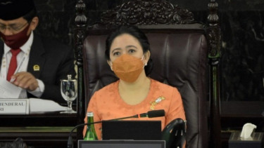 Maraknya Kasus Gagal Ginjal Akut Pada Anak, Ketua DPR Puan Maharani: Tetapkan Penyakit Ini sebagai KLB