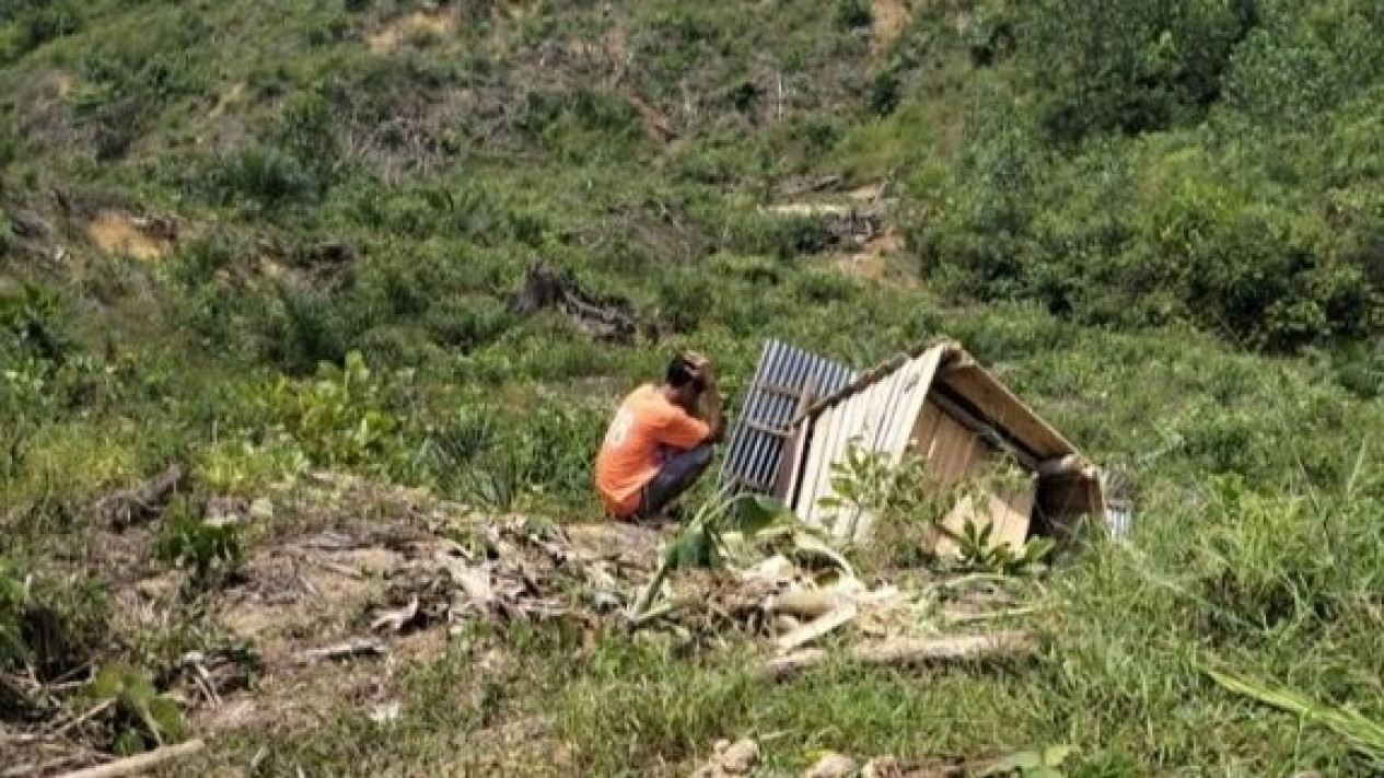 Gerombolan Gajah Rusak Kebun dan Pemukiman Warga Suku Anak Dalam
            - galeri foto