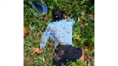 Tukang Panjat Kelapa Meregang Nyawa Usai Terjatuh dari Pohon Kelapa Miliknya