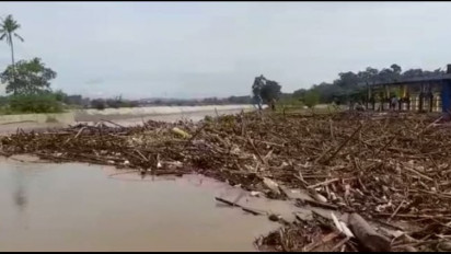 Debit Air Sungai di Kabupaten Pringsewu Naik, Ribuan Hektar Sawah Terendam Banjir