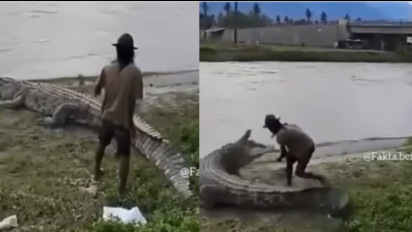 Viral! Seorang Pria Nekat Mengelus-elus Buaya Hingga Nyaris Meregang Nyawa, Netizen: Seketika Kena Mental