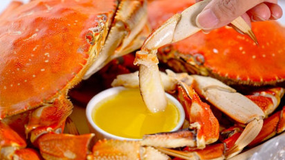 Kata Siapa Kepiting dapat Meningkatkan Kolesterol? Berikut Penjelasan dari Dokter Spesialis Gizi Klinis