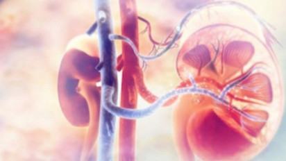 Dinkes DKI Jakarta Umumkan Kenaikan Angka Kasus Gagal Ginjal Akut Misterius, Sekarang Ada 135 Kasus