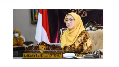 Biodata Bupati Cantik Anne Ratna Mustika, Ternyata Sempat Jadi Juara Satu Lomba 'Mojang' Purwakarta!
