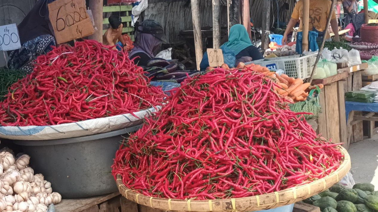 Menurun Drastis, Harga Cabai Capai Angka Rp20 Ribu Per Kilogram
            - galeri foto