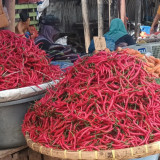 Pangan Nasional: Harga Cabai Rontok, Daging dan Bawang Putih Justru Merangkak Naik