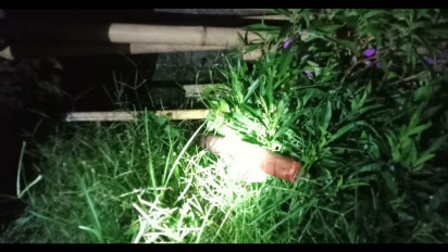 Seorang Suami di Bali Nekat Habisi Nyawa Istrinya dengan Senjata Tajam