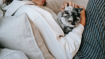 Terlihat Menggemaskan, Berikut 5 Alasan Seekor Kucing Sangat Suka Tidur di Atas Tubuh Pemiliknya