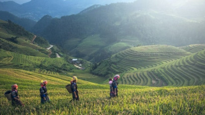 Indonesia Berpotensi Jadi Lumbung Pangan Dunia