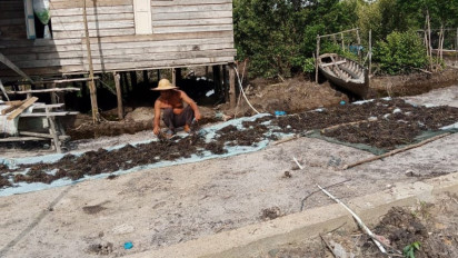 Budidaya Rumput Laut Bisa Jadi Penggerak Ekonomi Nelayan di Moro