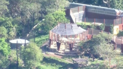 5 Ekor Singa di Kebun Binatang Sydney Kabur