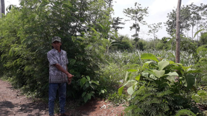 Dua Motor Milik Petani di Probolinggo Hilang, Digondol Maling saat Mencari Rumput