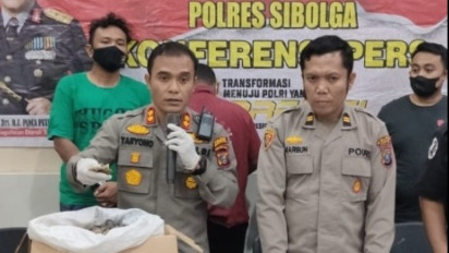 Jual Sisik Trenggiling di Medsos, 2 Pelaku Diciduk Polisi 