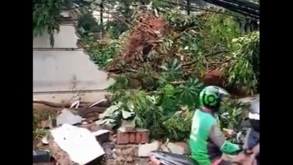 12 Pohon Tumbang  di Jaksel, Usai Hujan dan Angin Kencang Terjang Jakarta