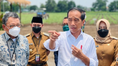 Siti Zuhro Ingatkan Jokowi Agar Hati-hati Usai NasDem Usung Anies Baswedan