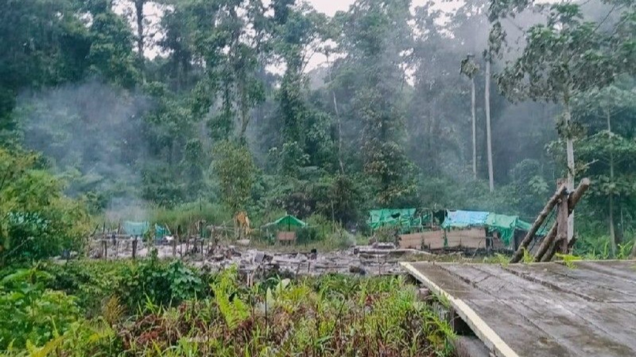 OTK Serang dan Bakar Camp di Pegunungan Bintan Papua, Satu Orang Tewas
            - galeri foto