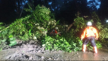 BPBD Sebut Jalur Penghubung Kabupaten Jember-Kabupaten Banyuwangi di Kawasan Gunung Gumitir Kembali Longsor