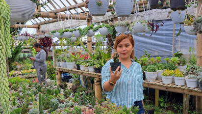 Kampung Bunga Dukuh di Kabupaten Semarang, Surga Pecinta Tanaman Hias