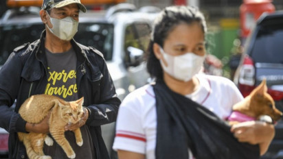 Terduga Pelaku Pembunuh Kucing Diamankan Polisi