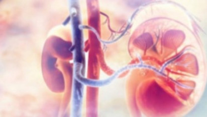 Posko Pengaduan Kasus Gagal Ginjal Akut Terima Tiga Laporan Korban Balita yang Meninggal