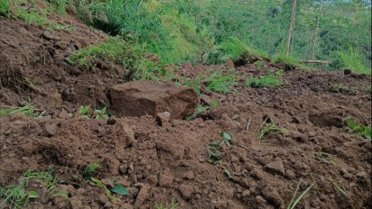 Akibat Diguyur Hujan, Tebing Setinggi 59 Meter di Pekalongan Longsor