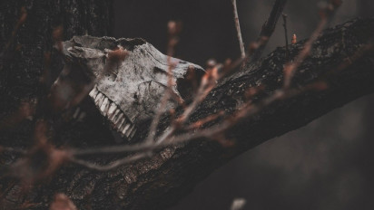 36 Orang AS Tewas  Mirip 1 Keluarga di Kalideres, Mereka Pengikut Sekte Apokaliptik, Apa Itu?