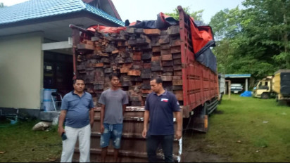 Gakkum KLHK Berhasil Tangkap Pelaku Pembalakan Liar di Palangka Raya