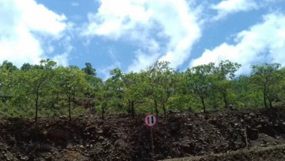 7 WNA Hilang di Hutan Halmahera, Basarnas Lakukan Pencarian