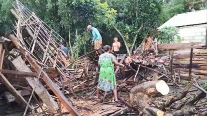 Akibat Hujan Disertai Angin, Pohon Tua Roboh Timpa Satu Rumah di Blora