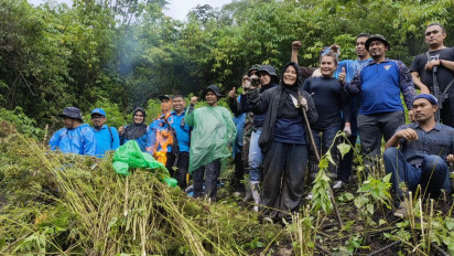 Temukan Ladang Ganja Seluas 2 Hektar, Aparat Gabungan Musnahkan 20 Ribu Batang Ganja