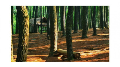 Langkah Serius GAKKUM KLHK Lindungi Hutan dan Lingkungan Hidup