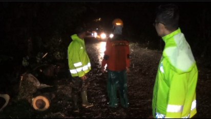 Dua Pengendara Motor Tewas Tertimpa Pohon Tumbang, 3 Lainya Luka-luka