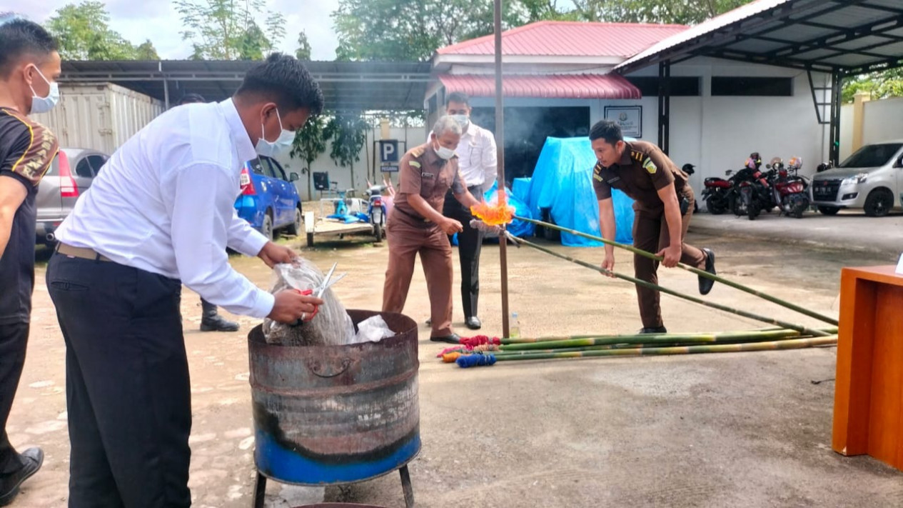 Barang Bukti Tindak Pidana Umum 15 Kg Ganja dan 37 Gram Sabu Dimusnahkan Kejari Pariaman
            - galeri foto
