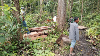 Petugas Gabungan Sita 7,2 Meter Kubik Kayu Ilegal di Kawasan Hutan Lindung Aceh Tengah
