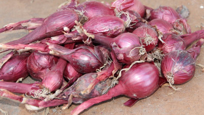 Keluhan-keluhan ini Bakal Minggat dari Tubuh Anda, Cukup Gunakan Bawang Merah Saja, Sudah Coba?