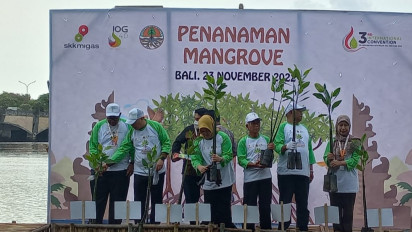 Tanam Mangrove, SKK Migas Komitmen Tekan Emisi Karbon