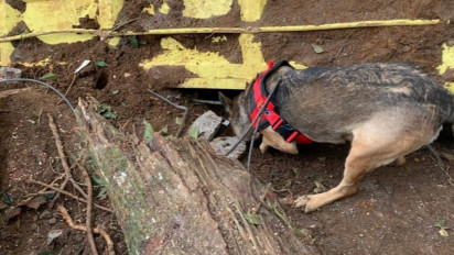 Satu Anjing Pelacak Temukan Titik Diduga Korban Tertimbun Longsor Cianjur