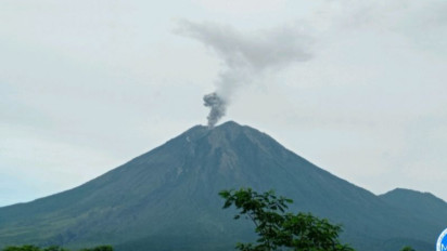 Gunung Semeru Erupsi dan Melontarkan Abu Setinggi 500 Meter