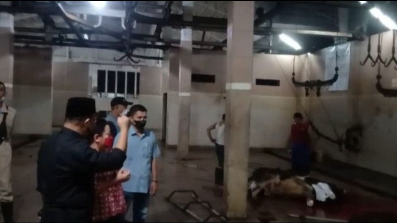 DPRD Surabaya Soroti Kenaikan Tarif Jasa Potong Hewan di RPH
            - galeri foto