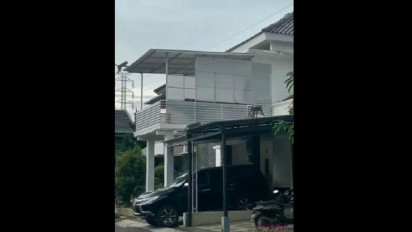 Viral, Kawanan Monyet Berkeliaran di Permukiman Warga Kota Bandung